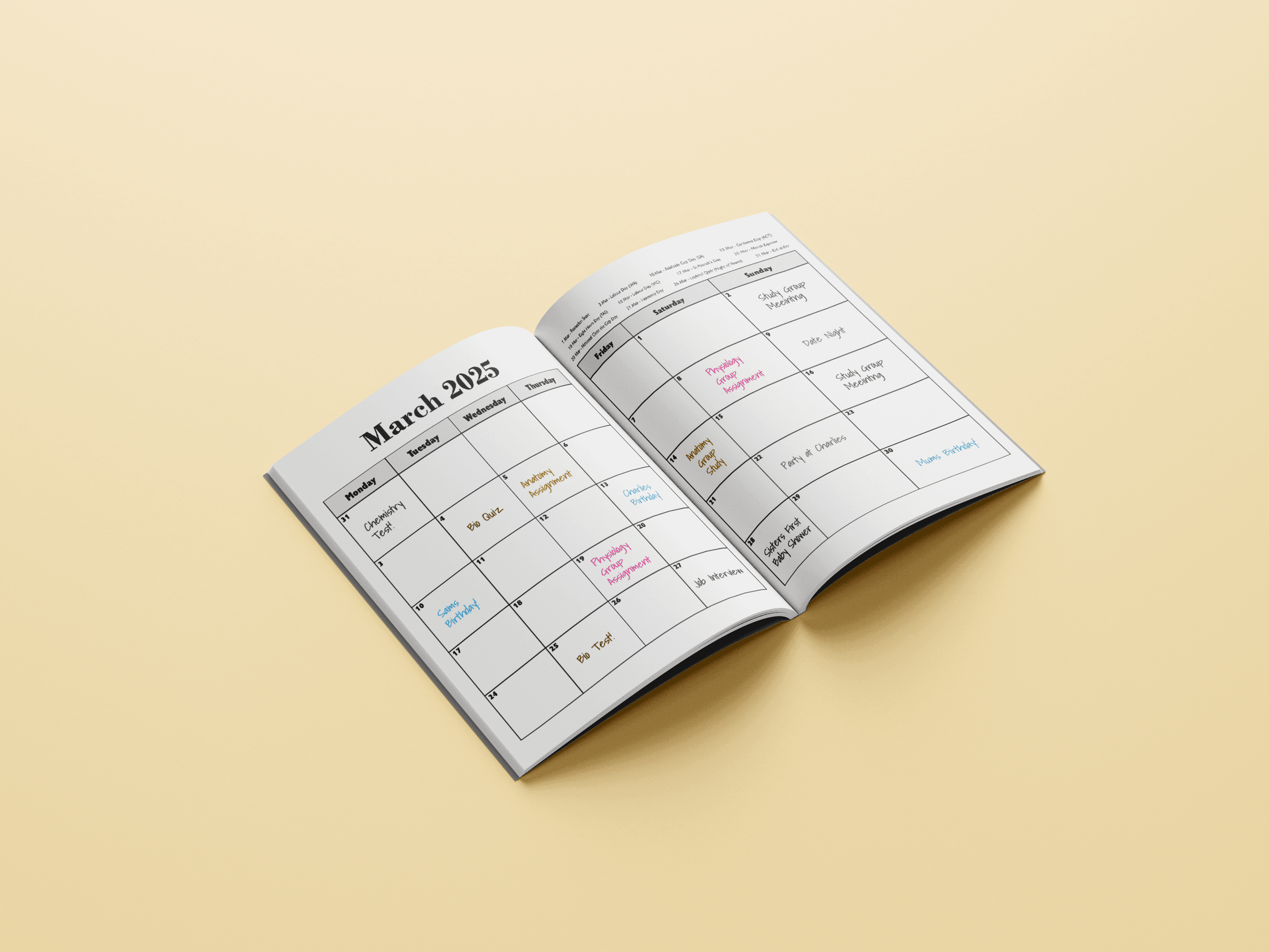 A mockup of a diary from Alyssa Beaulerc's 2025 diaries.