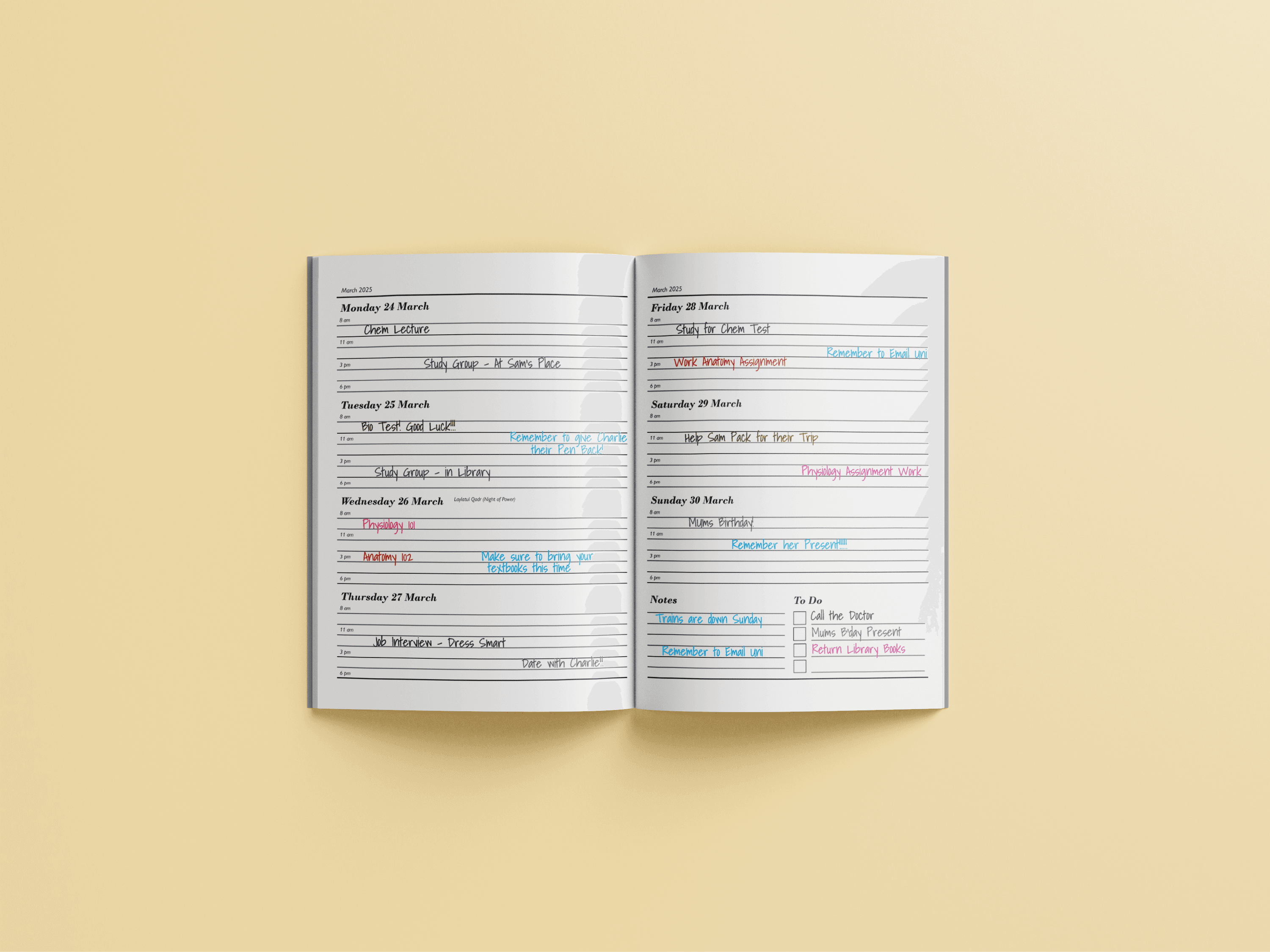 A mockup of a diary from Alyssa Beaulerc's 2025 diaries.